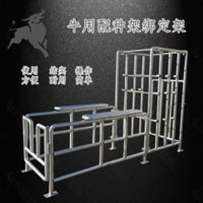 欧缔兰牛用配种绑定架牛用配种架配牛固定架固定牛专用架子牛用固定器
