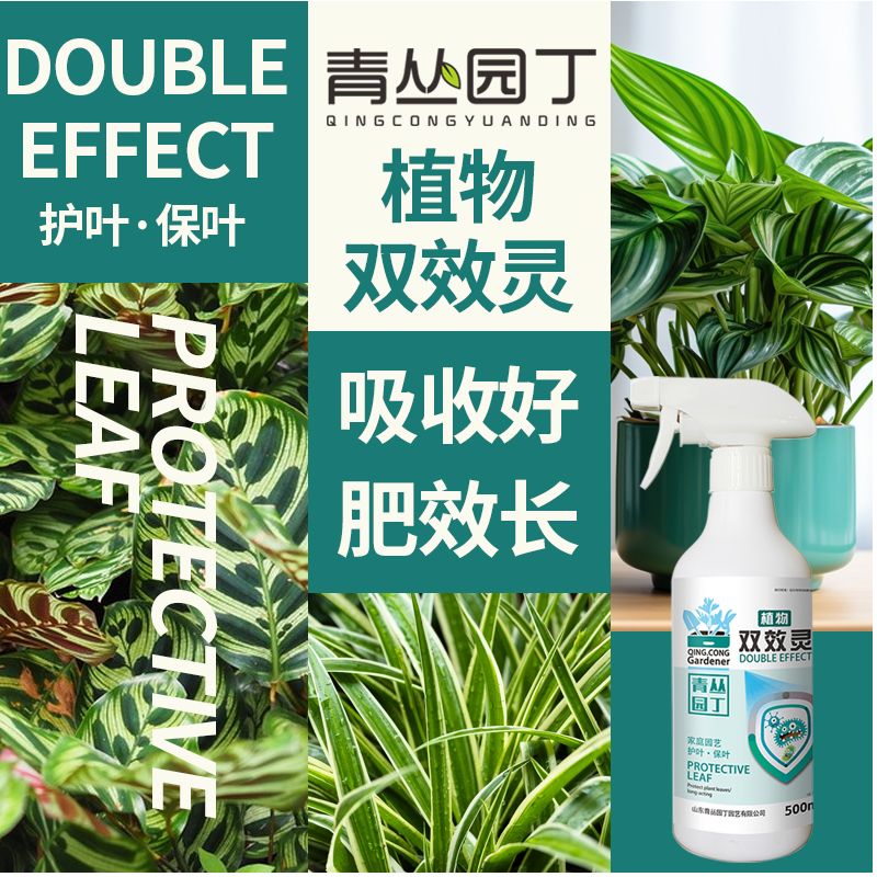 青丛园丁[拍2发4]双效灵黄叶落叶黑叶保护绿植花卉直喷通用型 双效灵加强装*500ml*1瓶