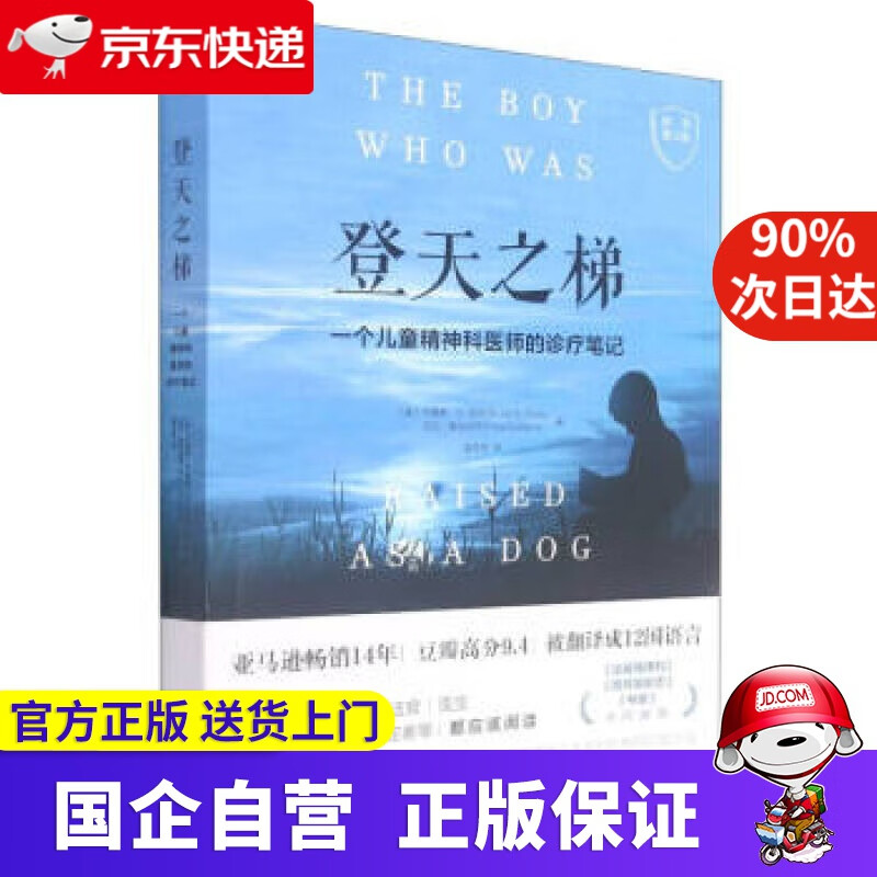 登天之梯 一个儿童精神科医师的诊疗笔记 