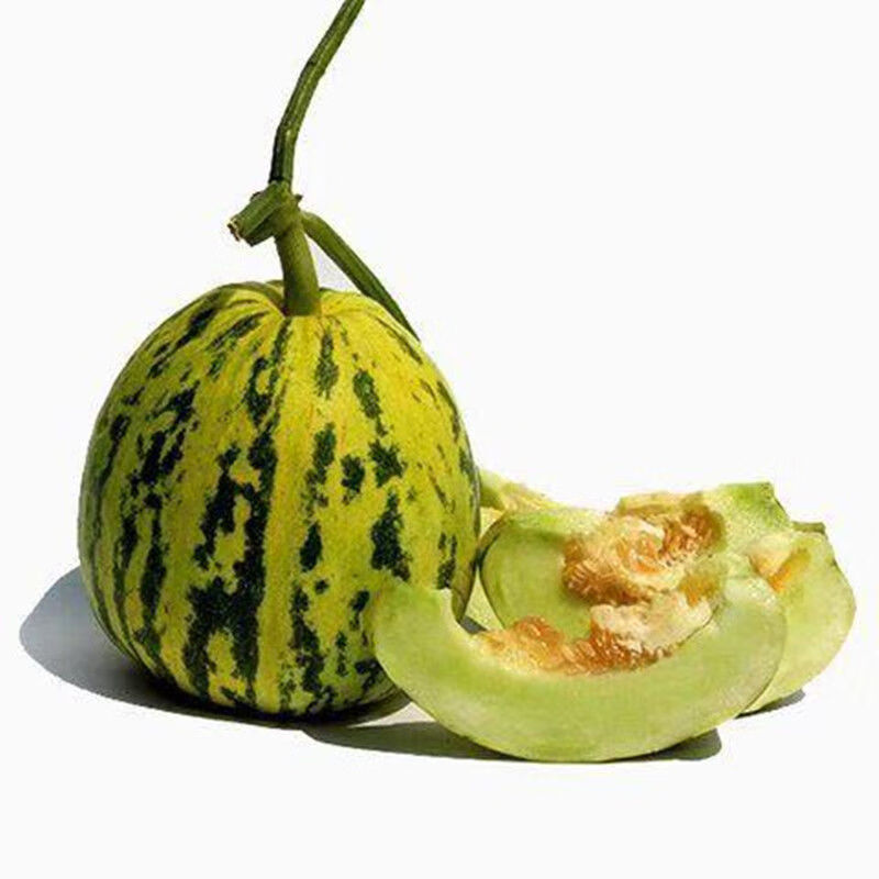 【精选直发】花皮香瓜1/5斤新鲜甜瓜水果怀旧香瓜花蕾香瓜八里香瓜