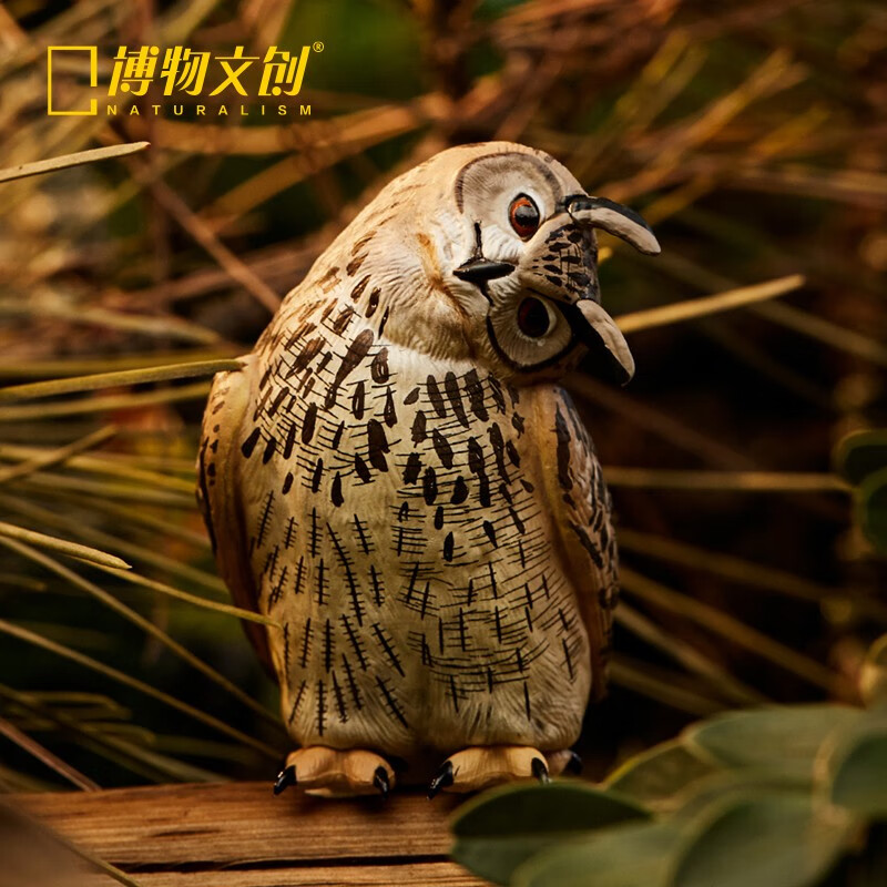 博物文创 天然歪猫头鹰模型玩具写实科普手办可爱动物摆件儿童节生日