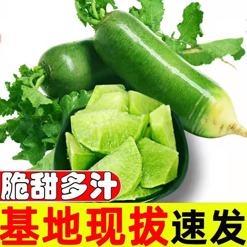 手机根茎类价格波动网|根茎类价格比较
