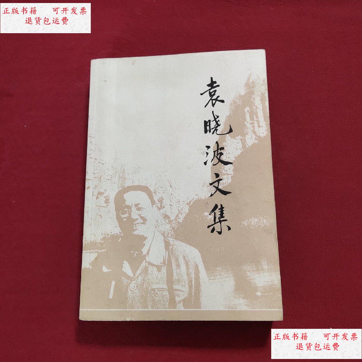【二手9成新】袁晓波文集 /袁晓波 袁晓波文集编辑组