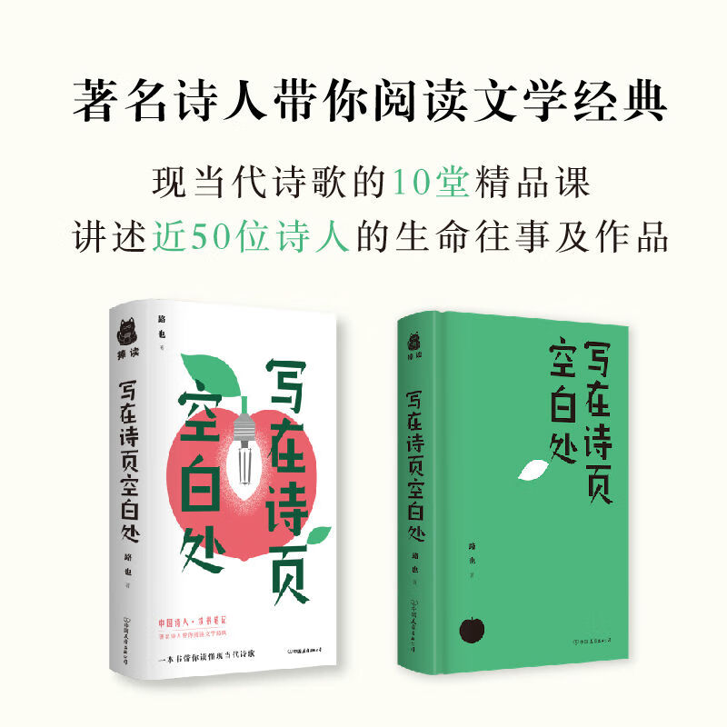 【严选】写在诗页空白处 带你阅读文学经典探寻现当代诗人作品书籍 中国人财保险承保【假一赔十】 写在诗页空白处