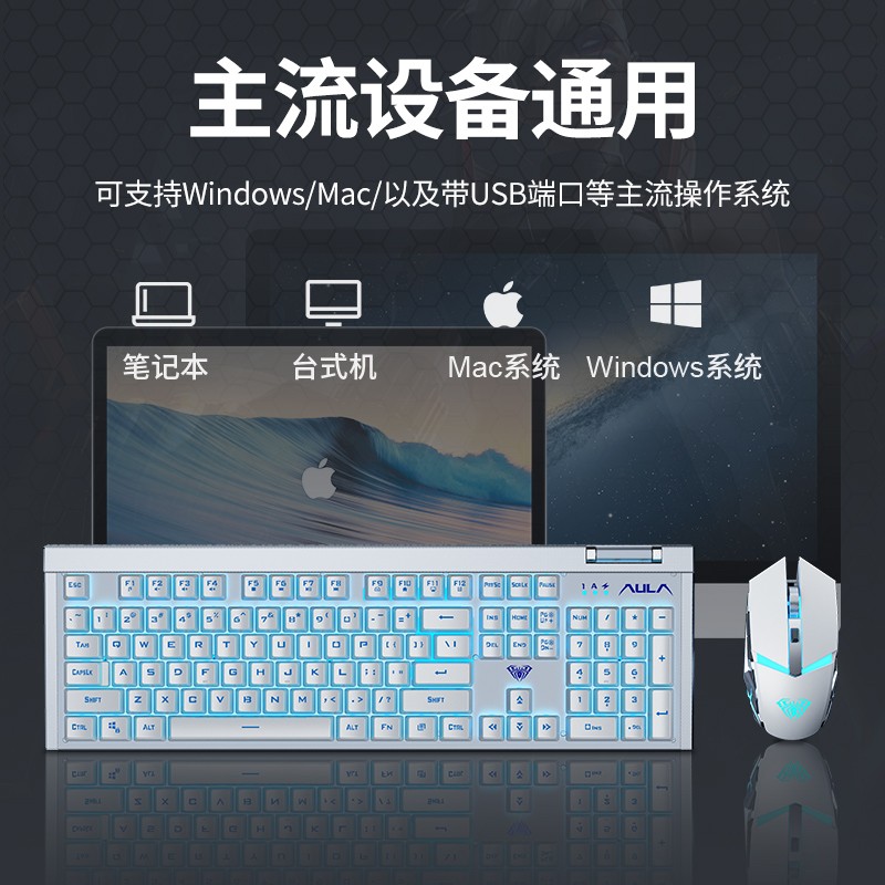 狼蛛（AULA）可充电式无线键盘鼠标套装真机械手感键鼠电竞游戏办公笔记本台式电脑发光lol吃鸡外设 高雅白【蓝光充电版】+鼠标