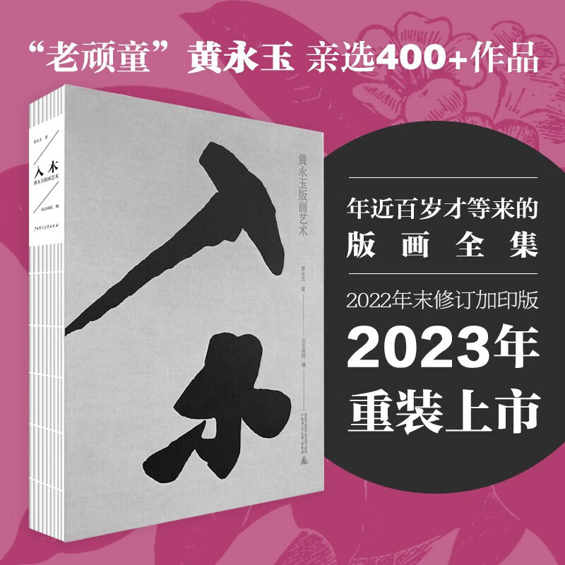 入木 黄永玉版画艺术黄永玉画集  黄永玉著 北京画院编 广西师范大学出版社 图书