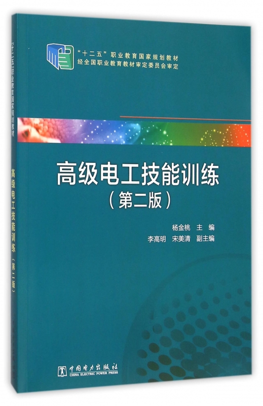 高级电工技能训练(第2版十二五职业教育国家规划教材)