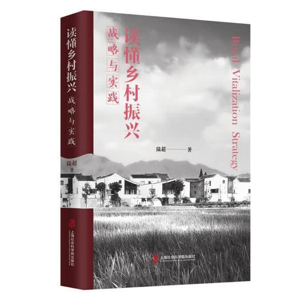读懂乡村振兴(战略与实践)