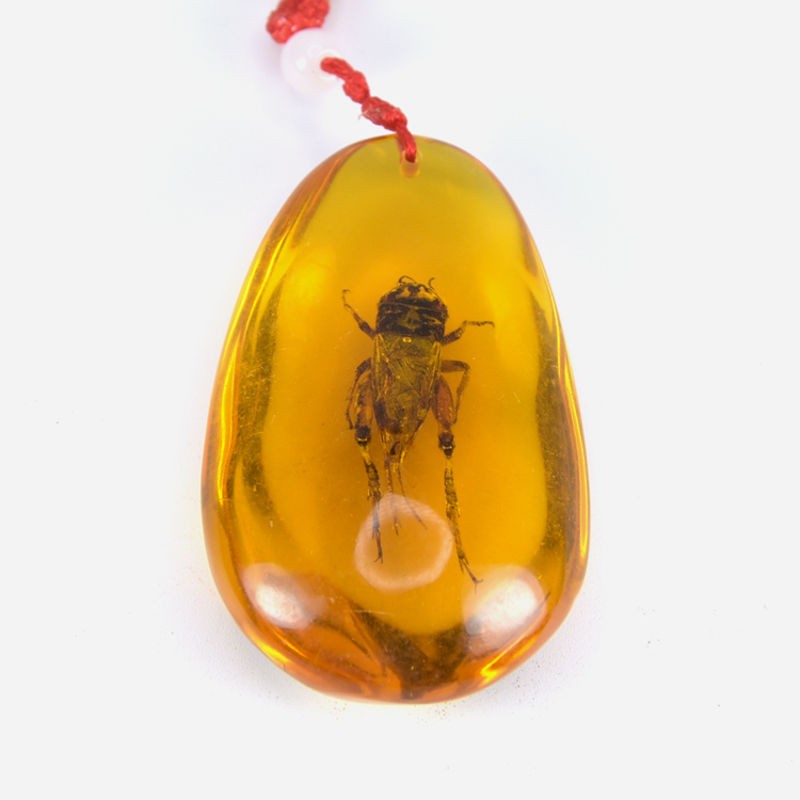 亲瑞原石虫珀天然手把件 人造琥珀昆虫标本人工带虫吊坠毛衣链 01款