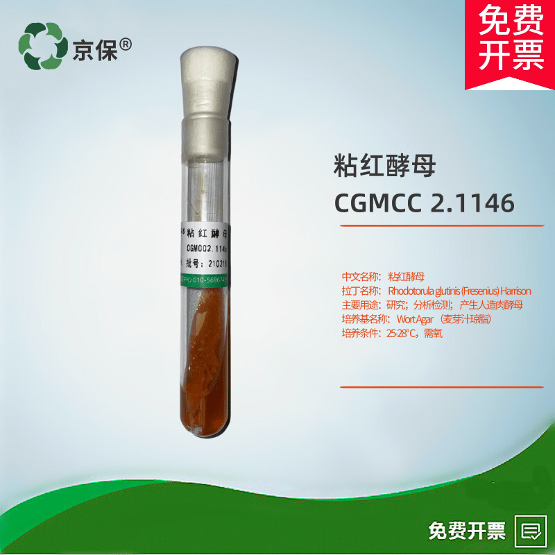 2代3代粘红酵母菌种cgmcc 2.1146标准菌株可产人造肉酵母