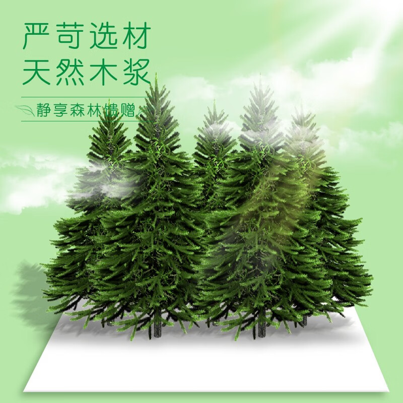 雨森（YUSEN）天然柔滑妇婴长卷卫生纸月子纸可湿水干湿两用纸巾2 200g*2卷（共400g）