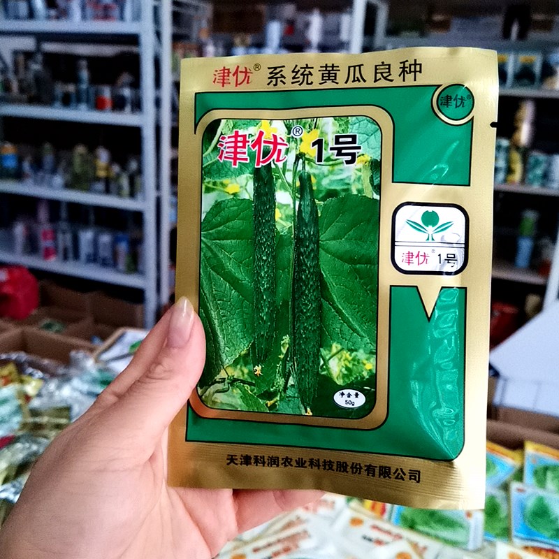 津优1号黄瓜种孑天津科润农业抗病高产春秋季播蔬菜种籽 津优401号