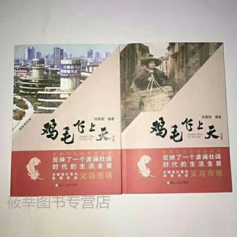 鸡毛飞上天(上下) 2册同名影视著小说 何赛阳著 鸡毛飞上天(套装上