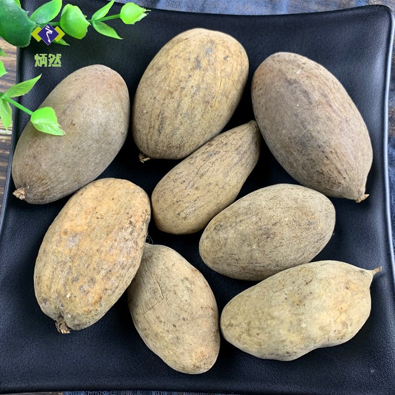 炳然五倍子500克g 百虫仓 文蛤药材 另有蛇床子磨五倍子粉