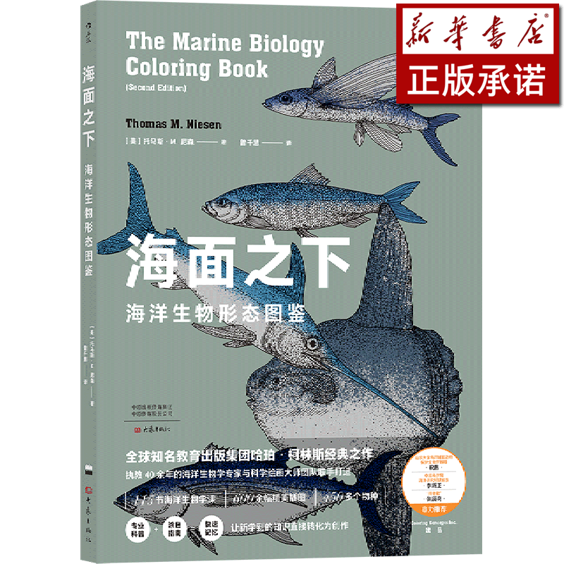 海面之下(海洋生物形态图鉴)