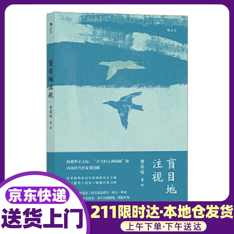 盲目地注视 黄国峻后浪 中国友谊出版公司