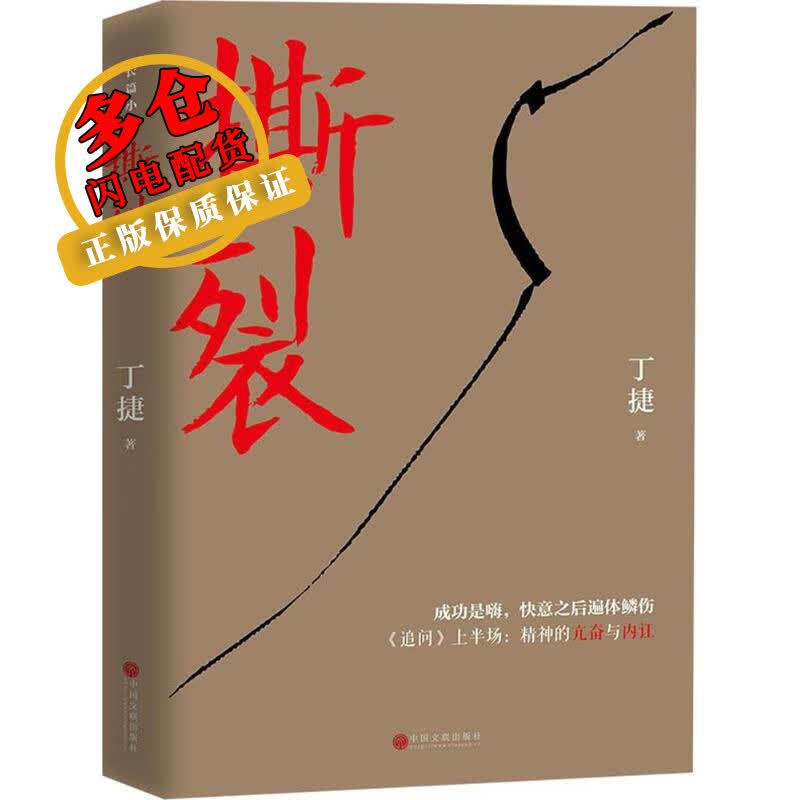 撕裂 丁捷 著 官场小说 WX