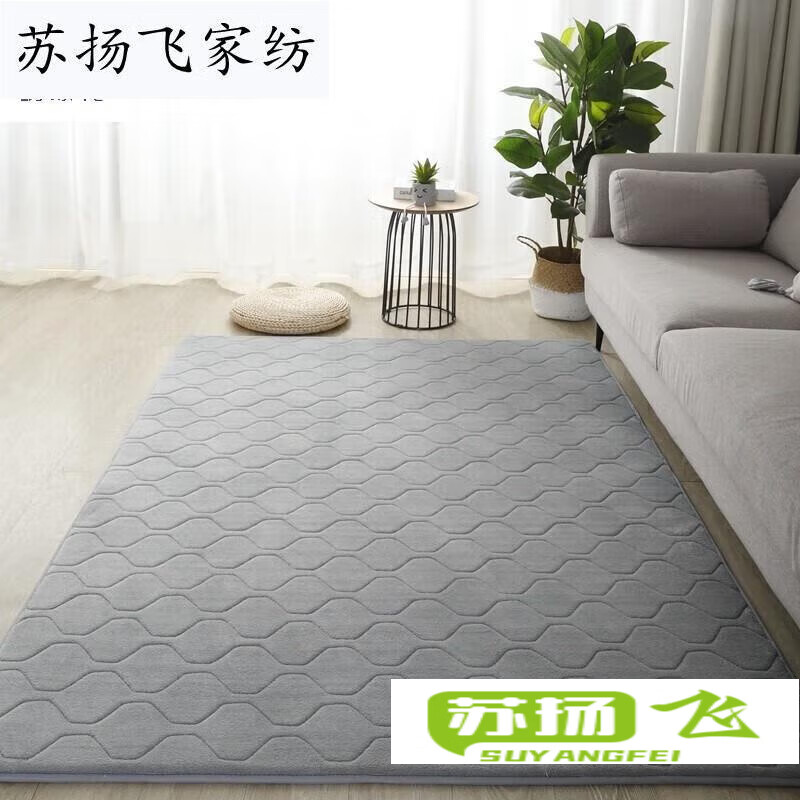 杨导 加厚卧室满铺床边地毯北欧家用客厅茶几网红少女房间床下 银灰色