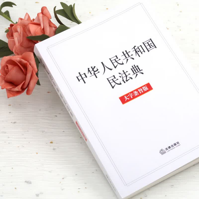 中华人民共和国民法典 大字条旨版