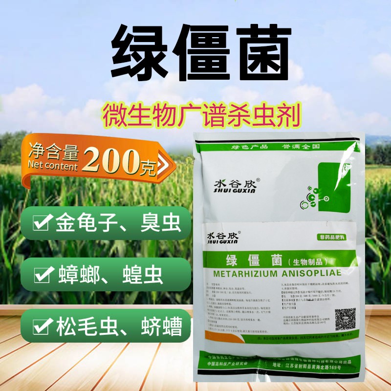 瀚鑫 绿僵菌白僵菌微生物有机农场地老虎金龟子药蟑螂白蚁多种害虫