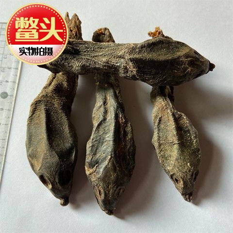 一重山旗舰店 鳖头:乌龟头:甲鱼头:焙干甲鱼头:乌龟头:鳖首::老鳖头