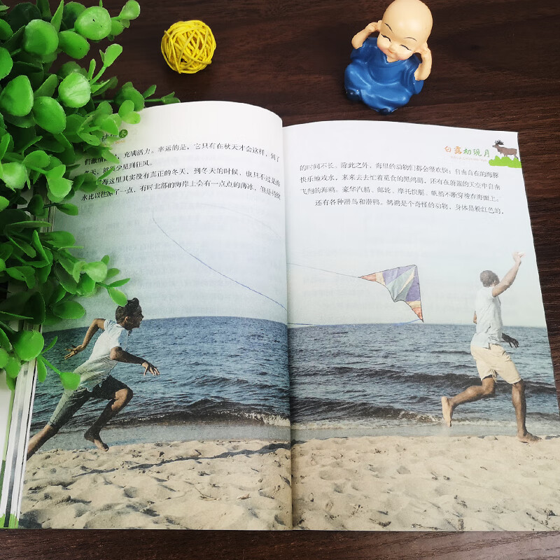 正版4册 森林报春夏秋冬彩绘版小学生二三四五六2-3-4-5-6年级森林报春夏秋冬全四册青少年儿童文学课外书读物8-12岁课外书