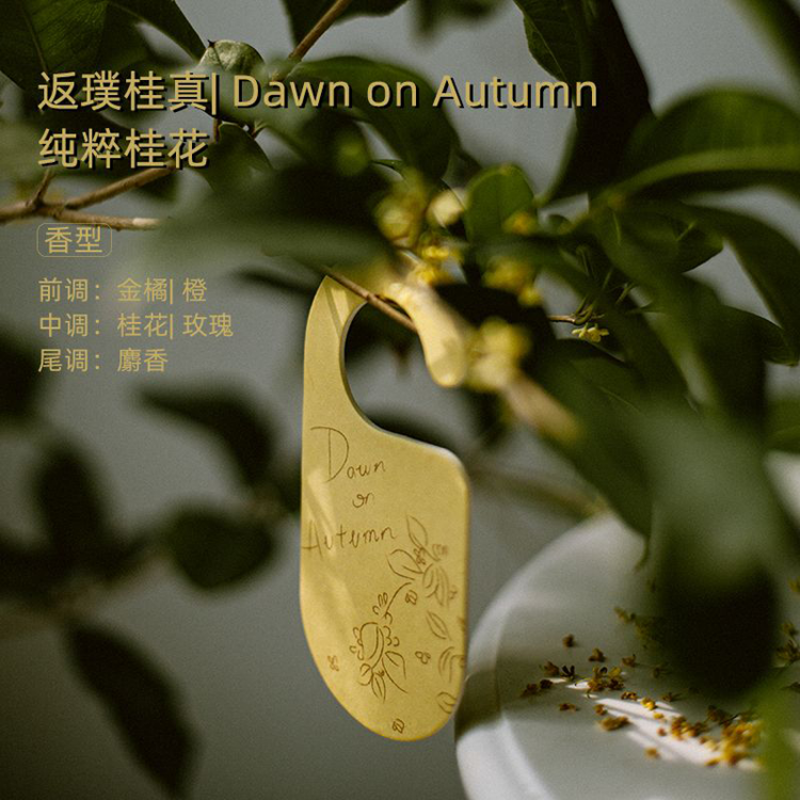 staygold吉他谱,staywithyou吉他谱 staygold香薰staygold瑜光衣柜香薰持久桂花香除异味香薰包香片衣柜