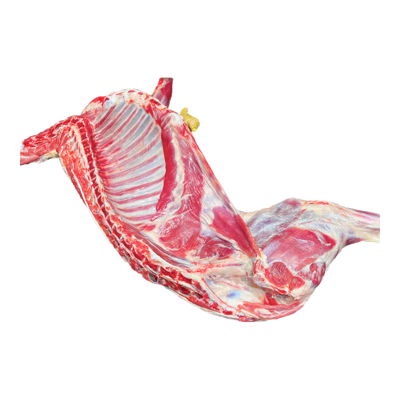 Сֻ̲15ϹտʳԴͷֱ 688Ԫ