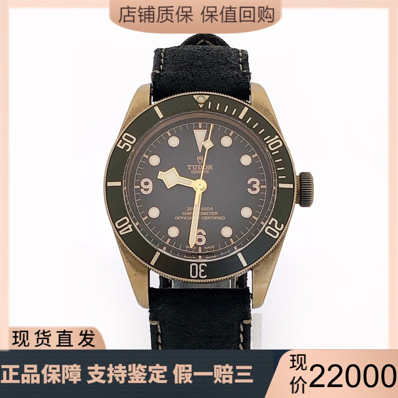 【二手95新】20年大全套帝舵碧湾系列青铜M79250BA-0001表径43mm自动机械腕表