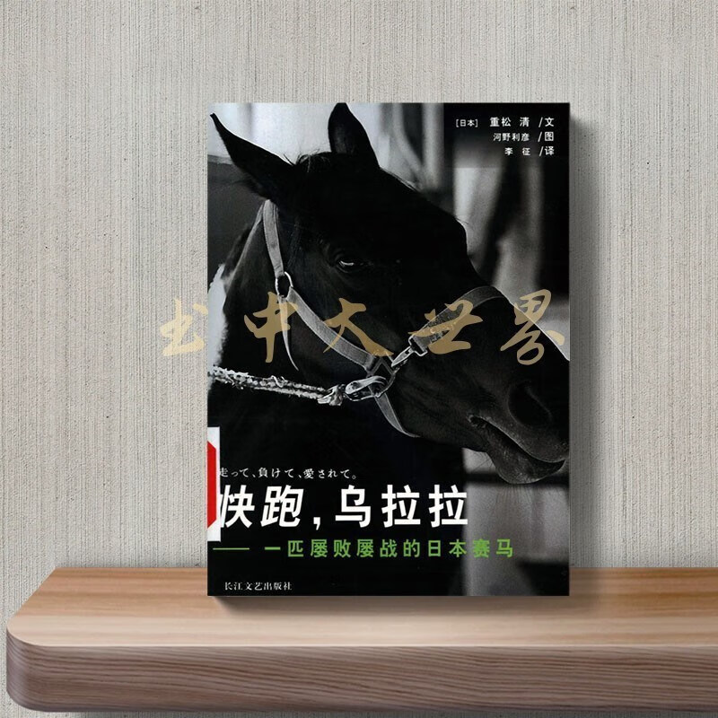 快跑,乌拉拉 一匹屡败屡战的日本赛马(日