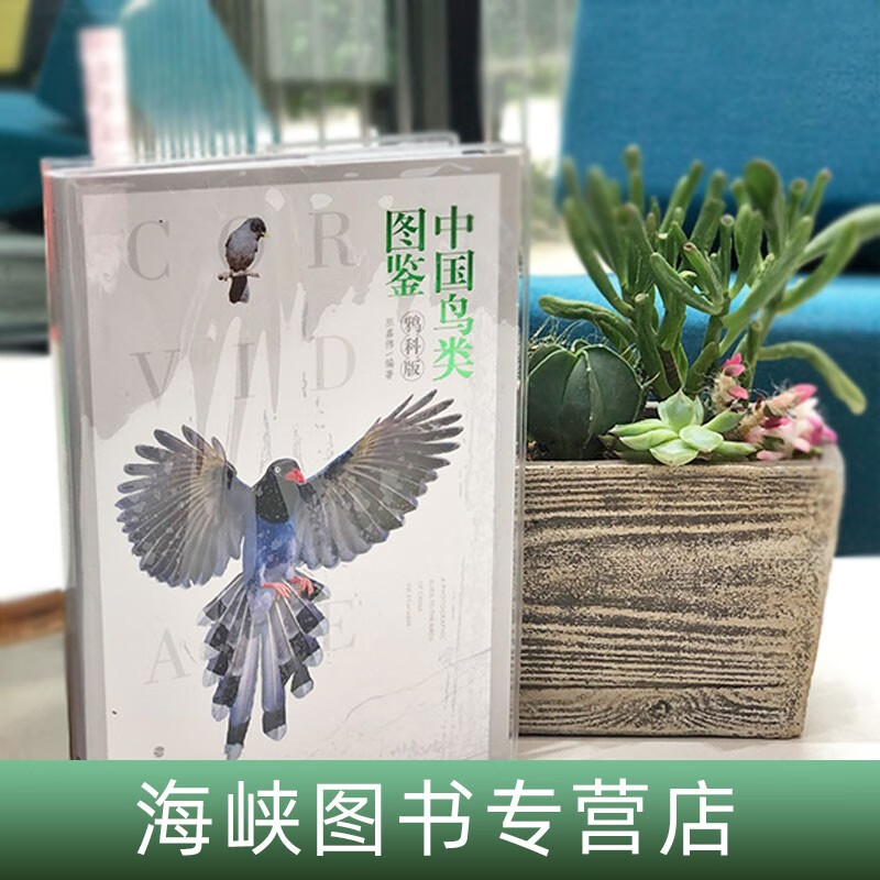 【现货速发】官方正版 中国鸟类图鉴鸦科 中国鸟类野外观察手册 巫嘉伟著 鸦科鸟粮饲料脚环鸟类自然科普百科类书籍 海峡书局出版社新品