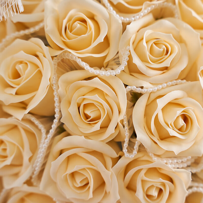 beginning 初朵 三生三世 33朵香槟玫瑰花花束