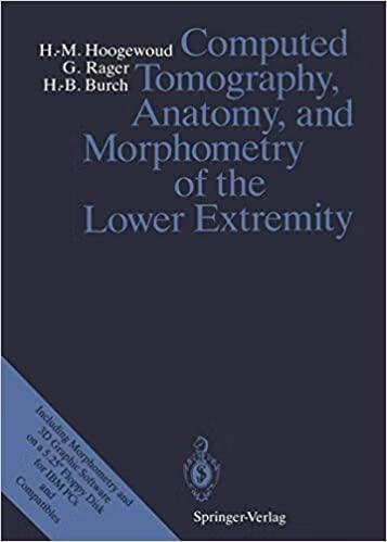 预订 computed tomography, anatomy, and morphometry of the lower