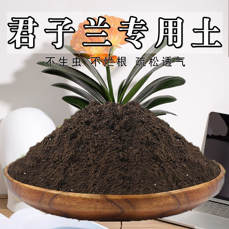 君子兰专用土君子兰土盆栽营养土家用室内酸性泥碳养花种植土肥料科