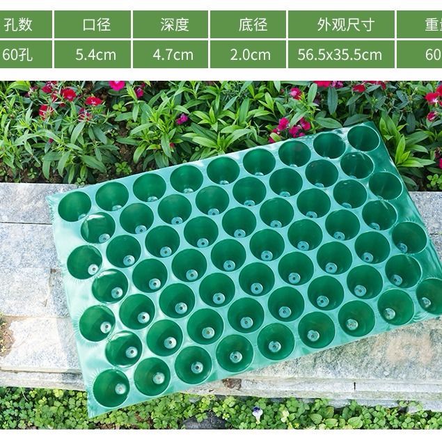 圣比莱逐月玉米育苗盘瓜果育苗塑料哈密瓜圆孔穴盘100孔辣椒种植盘盘