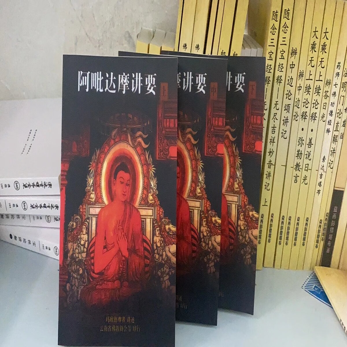 阿毗达摩讲要上中下