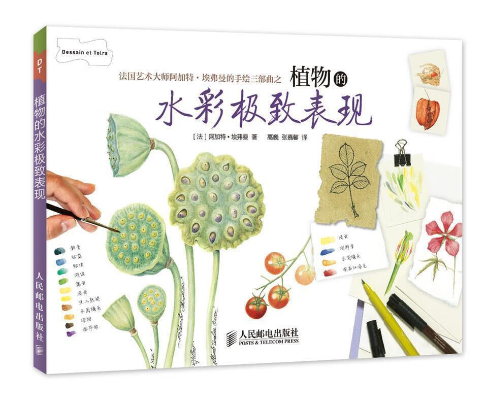 植物的水彩极致表现