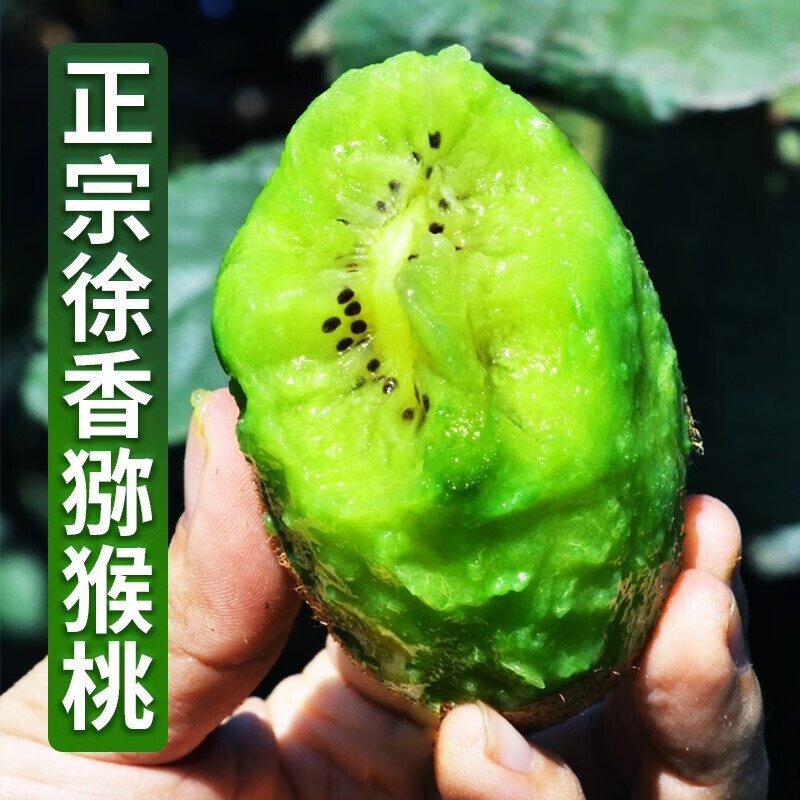 肴池晚采徐香猕猴桃特级奇异果弥猕桃水果礼盒新鲜绿心泥猴桃 徐香30枚|70-85克|中果经济款