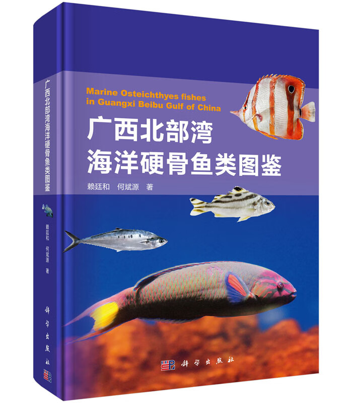 广西北部湾海洋硬骨鱼类图鉴(精)