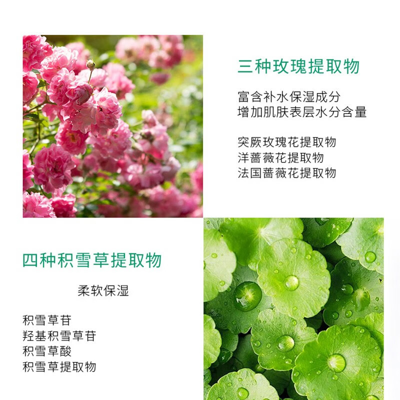 韩国进口美蒂菲medi Peel玫瑰营养凝胶软膜 软膜美蒂菲 面膜好货推荐 轻舟网