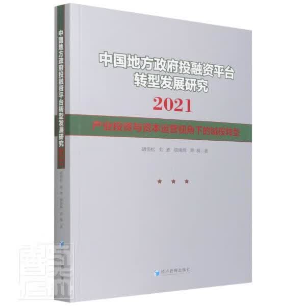 中国地方政府投融台转型发展研究(2021产业投资与资本运营视角下的城投转型)胡恒松经济管理出版社97