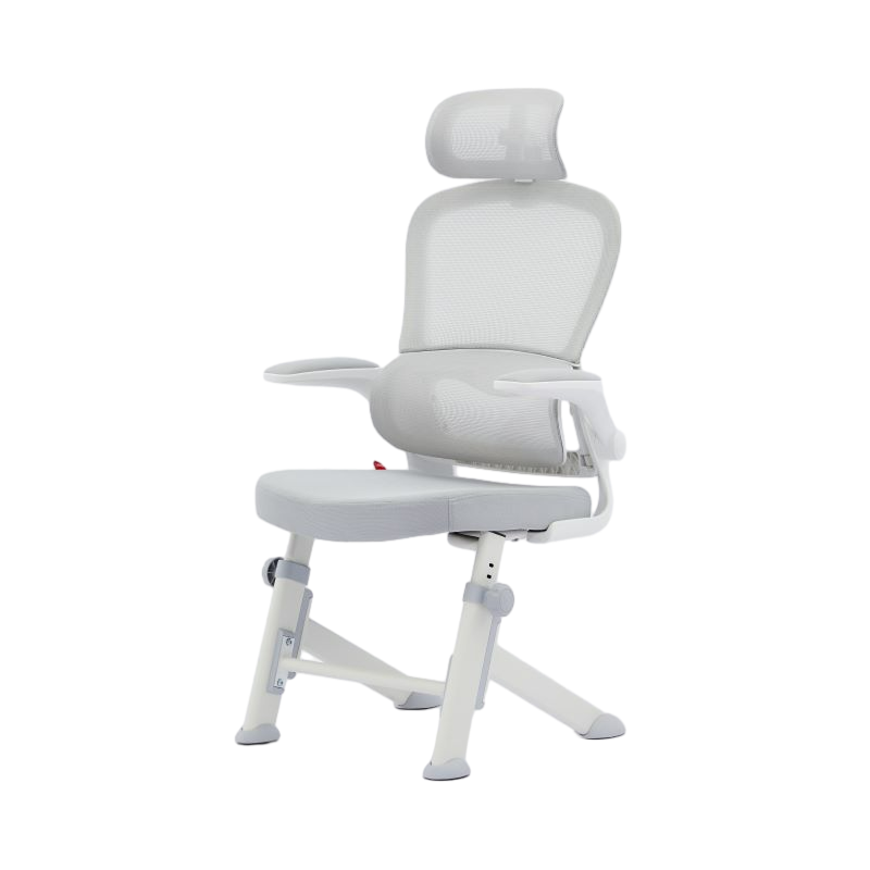 �˾ż�Y5Fѧϰ�γ�����ѧ���˹���ѧ�������������幤ѧд������ 594.15Ԫ(������)