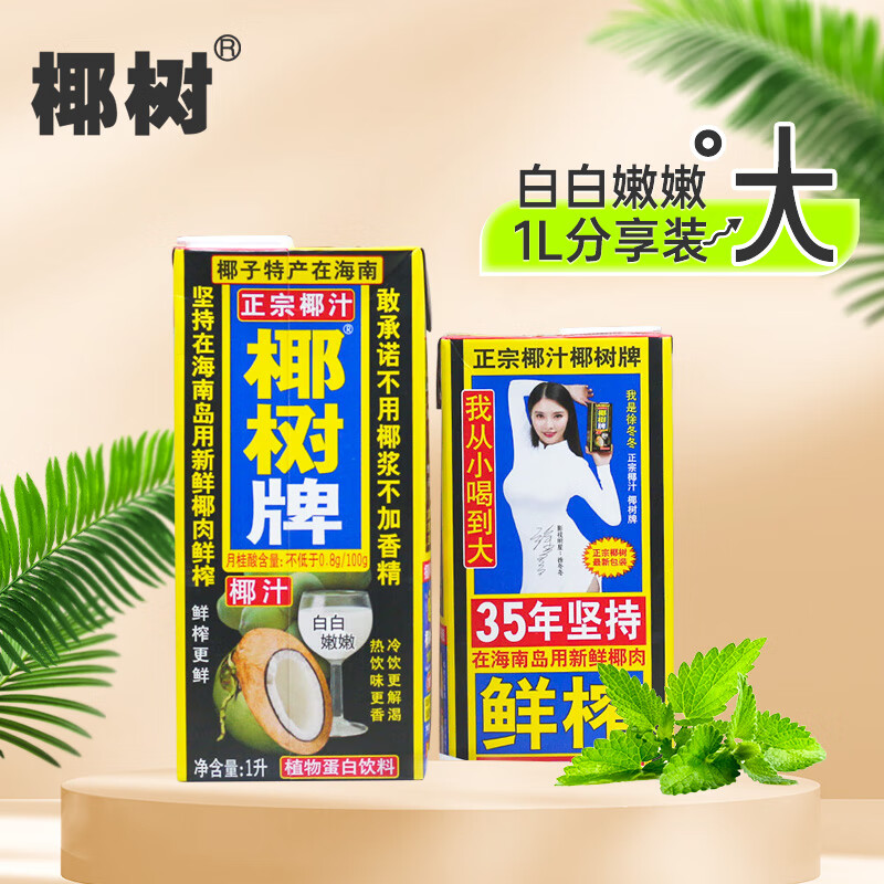 椰树牌 正宗椰子汁  1L*12盒 整箱装 植物蛋白饮料 年货节