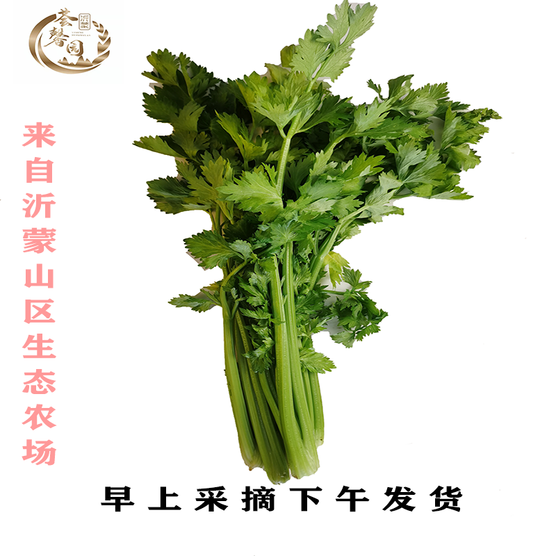 沂蒙荟馨园芹菜小西芹嫩嫩的 农场直发 支持多商品自由搭配 细嫩西芹一箱2500克