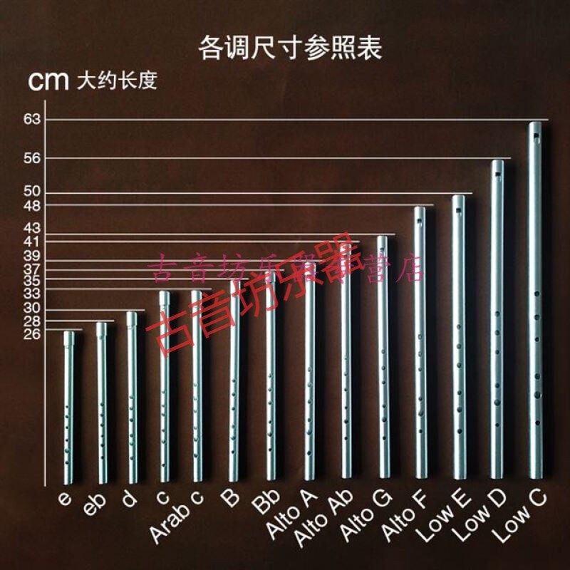 杰登（Jayden）乐器金属初学弯面爱尔兰哨笛高中低音abcdefg竖笛箫笛风笛入门 高音E外套弯面