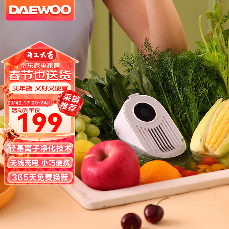大宇（DAEWOO）果蔬清洗机家用洗菜机蔬菜水果食材净化机器去农残除菌清洗机洗菜神器无线便携 白色-QX8