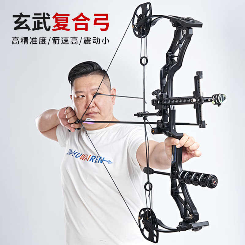 HUWAIREN复合弓滑轮弓箭成人射箭套装专业户外狩猎射击运动比赛军迷用品 裸弓 30磅-50磅可调