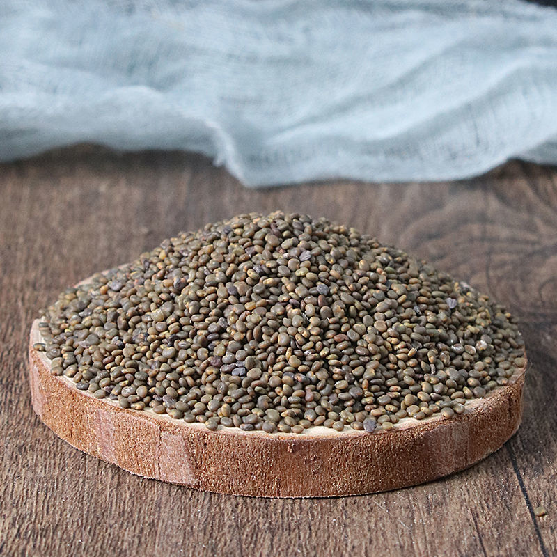 朗透  沙苑子 中药材沙苑子茶潼蒺藜沙苑蒺藜可磨沙苑子粉 沙苑子/500