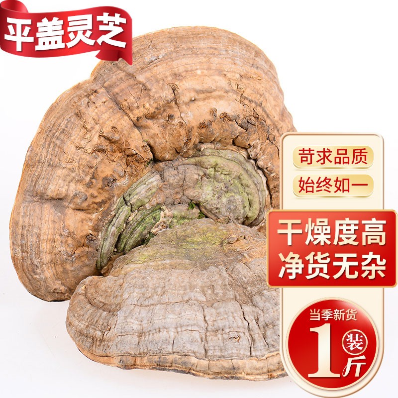 吉雪 长白山平盖灵芝树舌灵芝青芝林下深山整枝林芝可切片泡酒煲汤 平