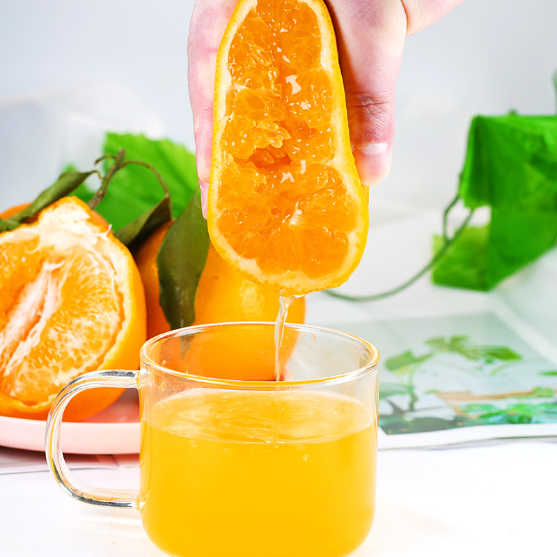 uncle lemon四川春见耙耙柑当季新鲜水果丑橘丑柑整箱高山种植产地现摘现发 5斤 大果【真心甜甜】新鲜现摘丨个头均匀